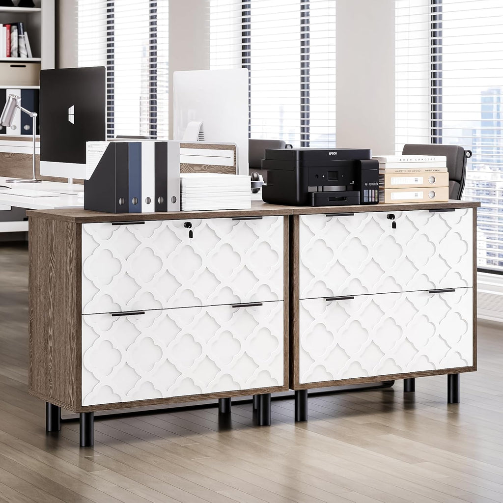 LIKEMET 2 Drawer File Cabinet with Lock