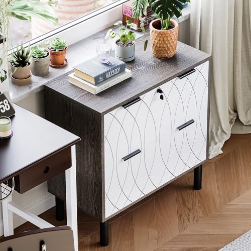 LIKEMET Meridian Cabinet Document Cabinet