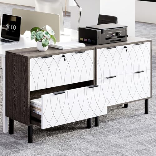 LIKEMET Meridian Cabinet Document Cabinet
